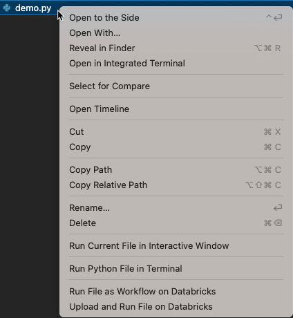 Run File as Workflow on Databricks context menu command 1