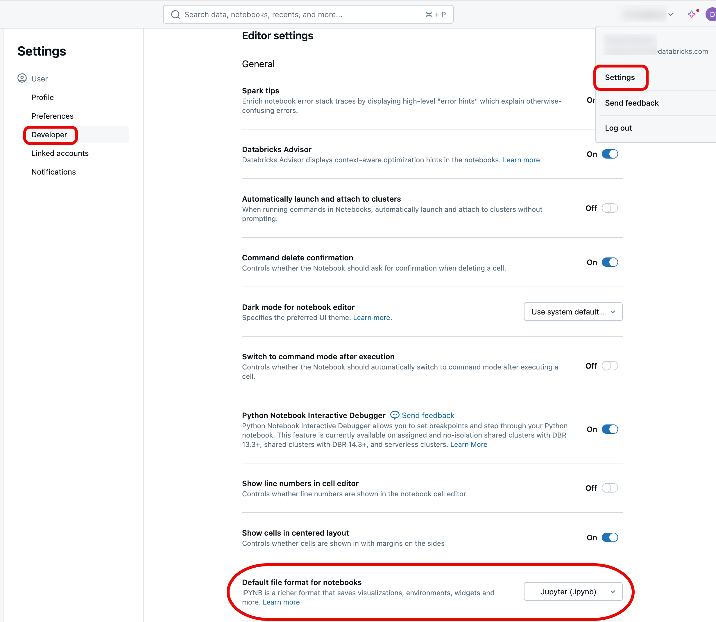 Altere o formato do default Notebook nas configurações de desenvolvedor de seu perfil